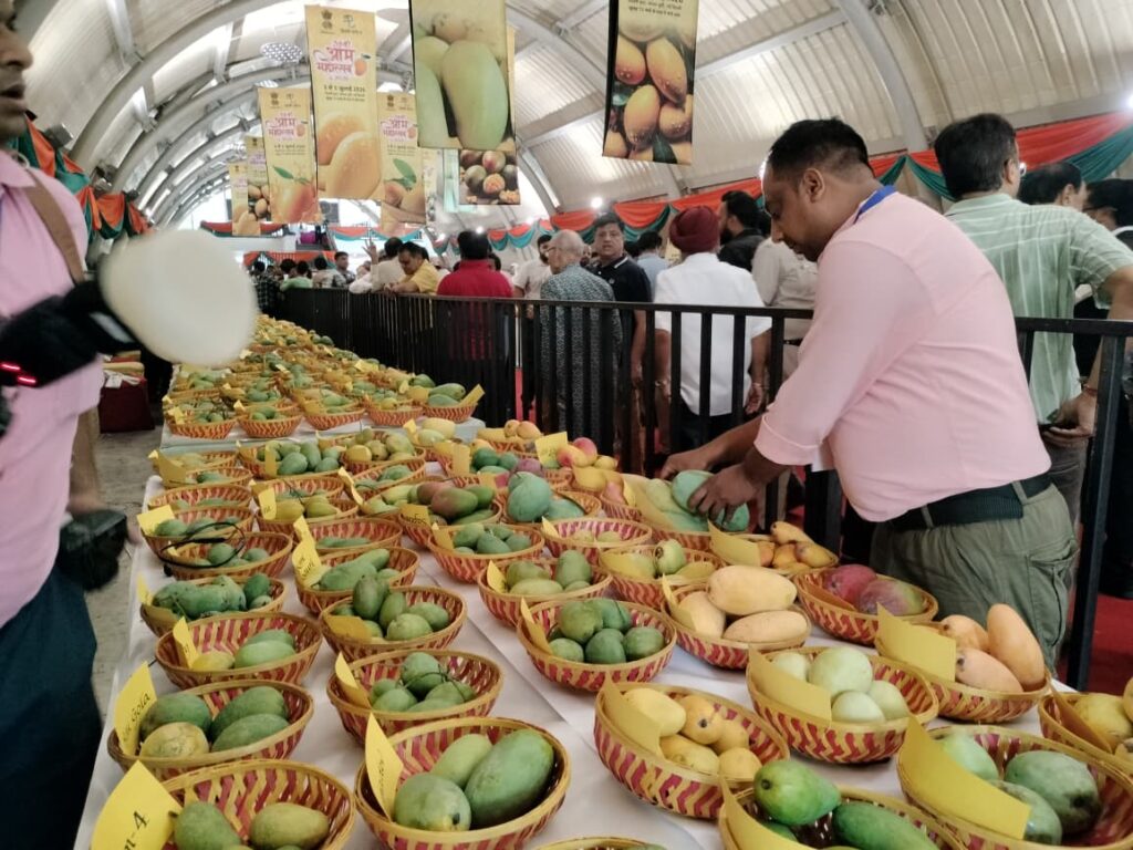 35th Mango Festival opens at Dilli Haat with showcase of rare varieties